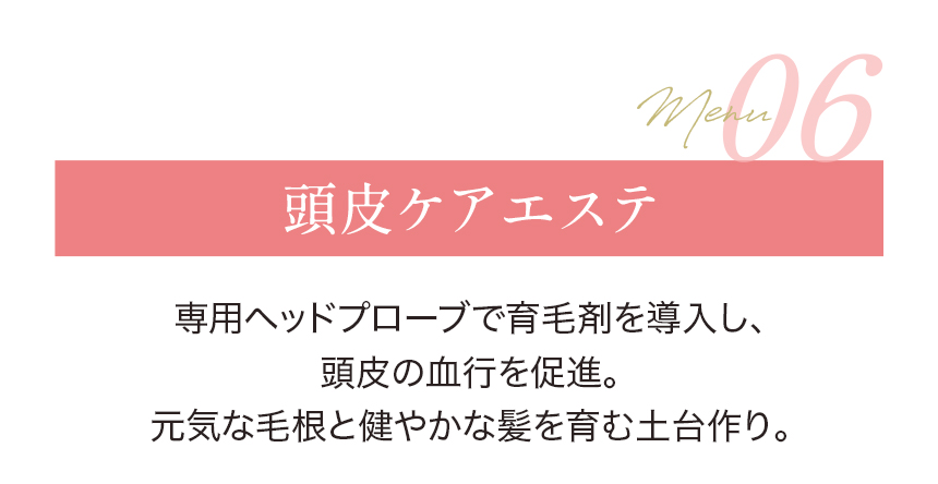 頭皮ケアエステ